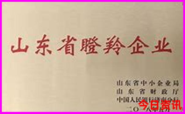 华东旅游攻略五日游
