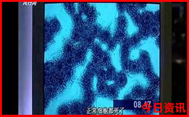 白洋淀周边游玩景点推荐